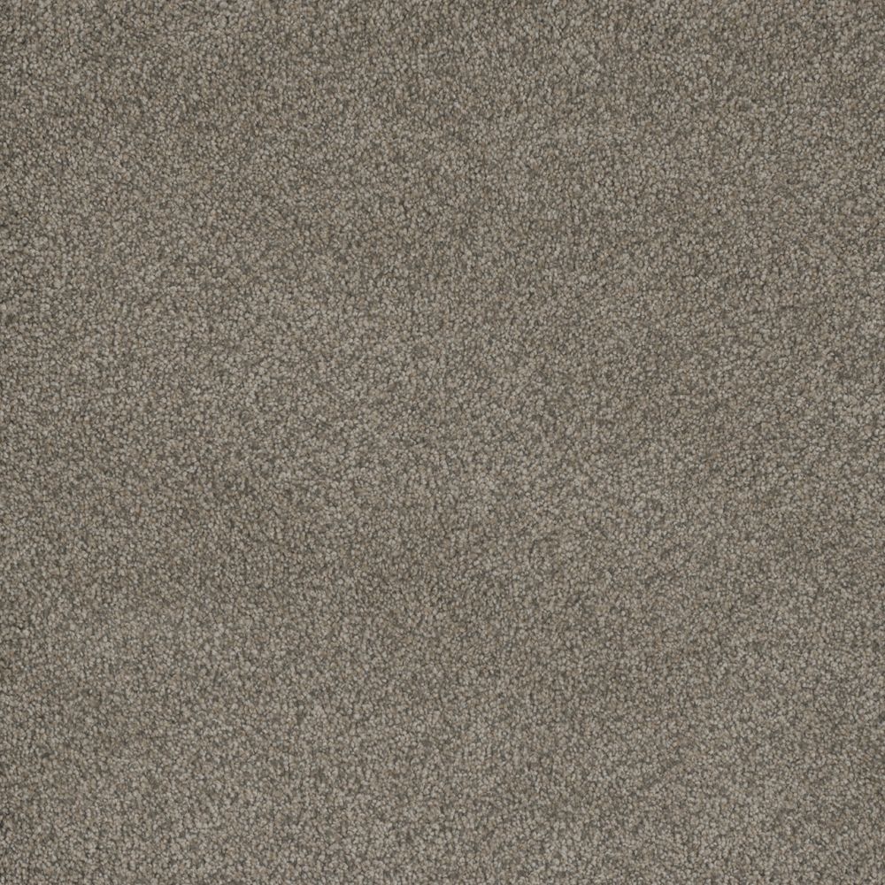 Monte Carlo III Umber