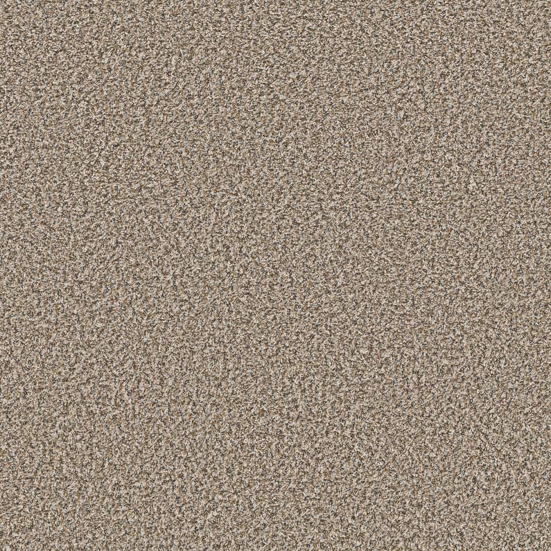 QS850 Sugar Cookie